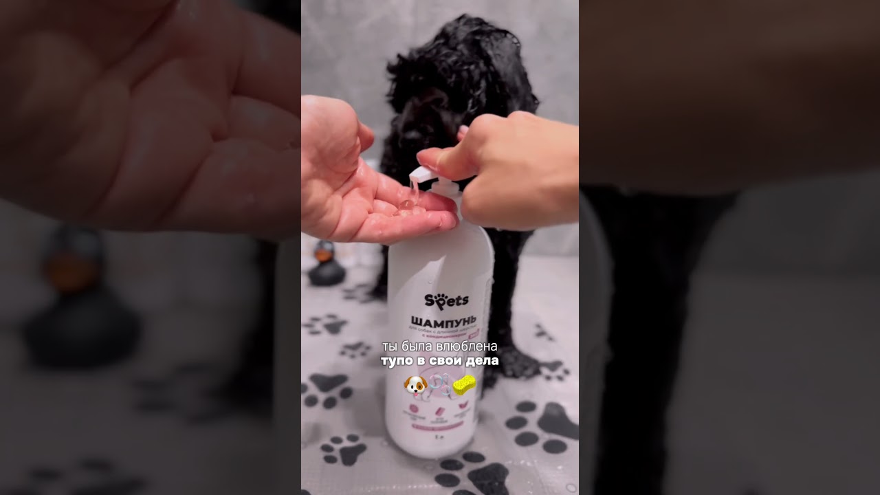 Ты была влюблена 🧽Шампунь WB Артикул 164158696 #pet #grooming #petlovers #poodle
