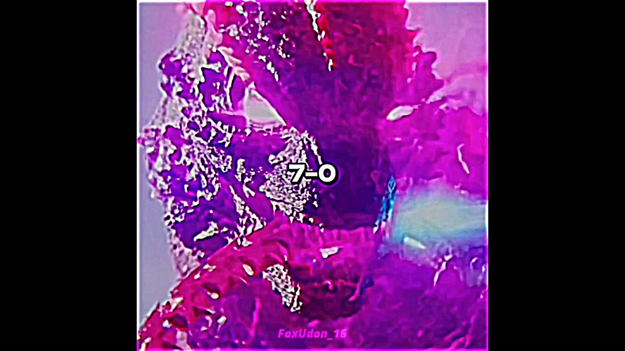 Evolved Godzilla vs Thermo Godzilla #godzilla #battle #edit