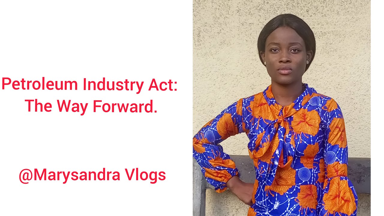 THE PETROLEUM INDUSTRY ACT