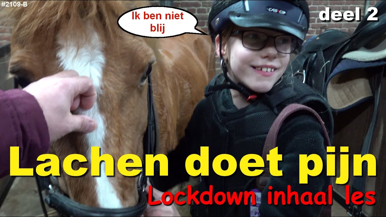 INHAAL PAARD RIJLES op HAPPY. Meerdere KEREN VAN HAPPY AFGEVALLEN! #2109-B
