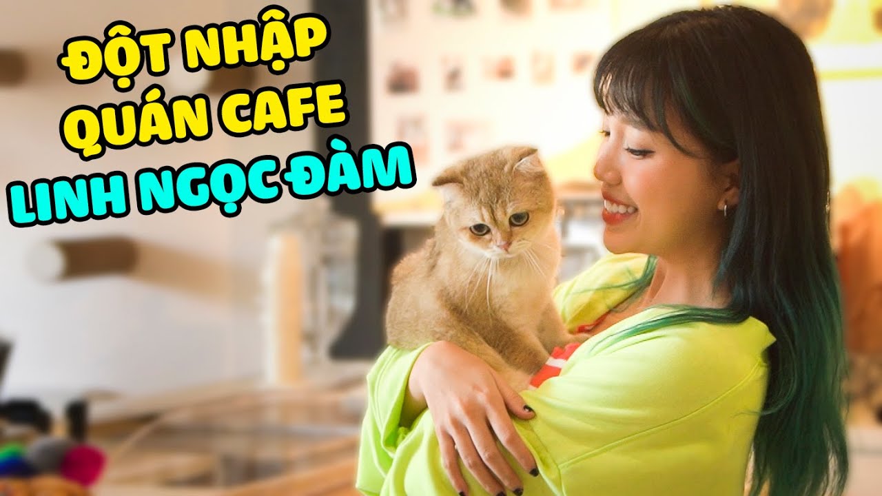Salmon đột nhập vào quán cafe mèo | The Happy Pets #53