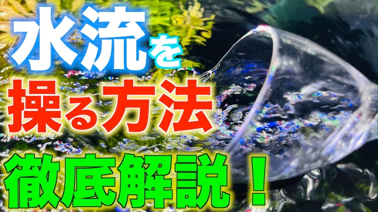 【水流】水槽の水流を操る！キレイな水流の作り方を分かりやすく解説！