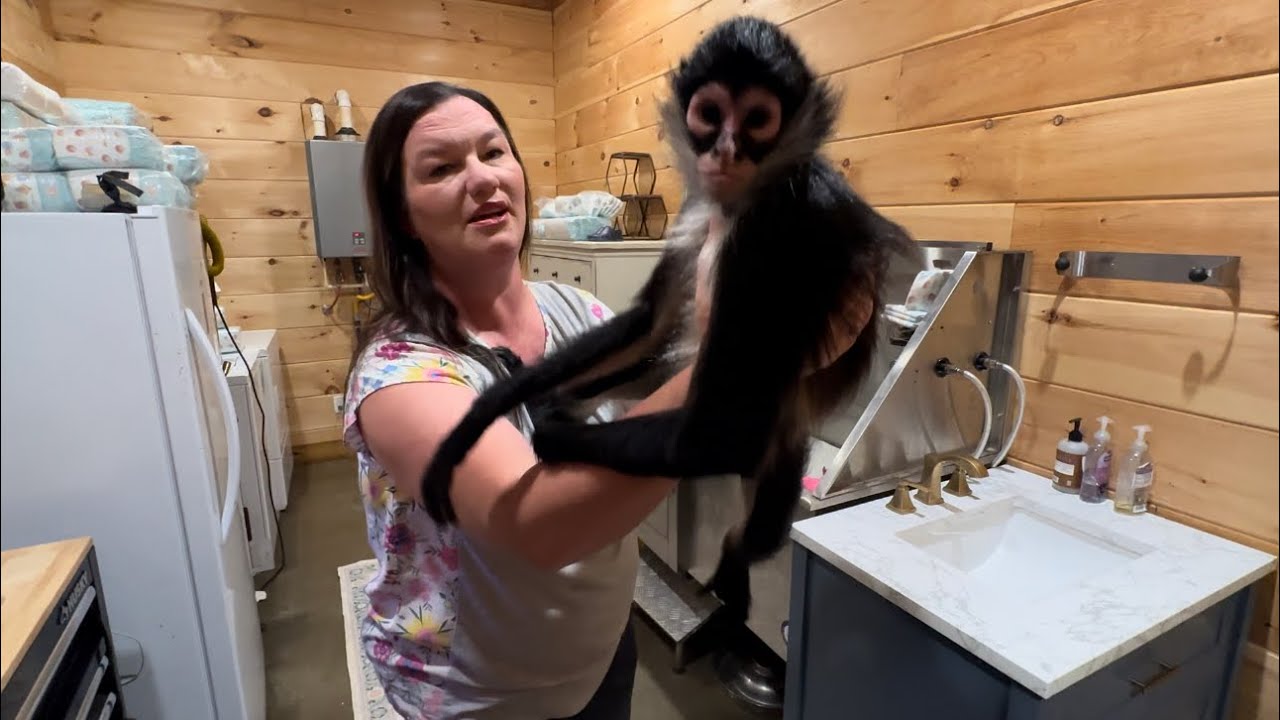 Давайте почистим эти обезьяньи пинетки 🐒#обезьяны #животные
