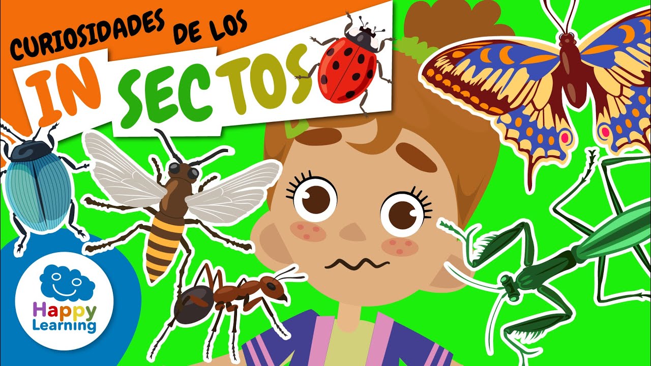 🐞🪲 Aprende TODO sobre LOS INSECTOS | Vídeos Educativos para Niños de PRIMARIA | @Happy Learning Español