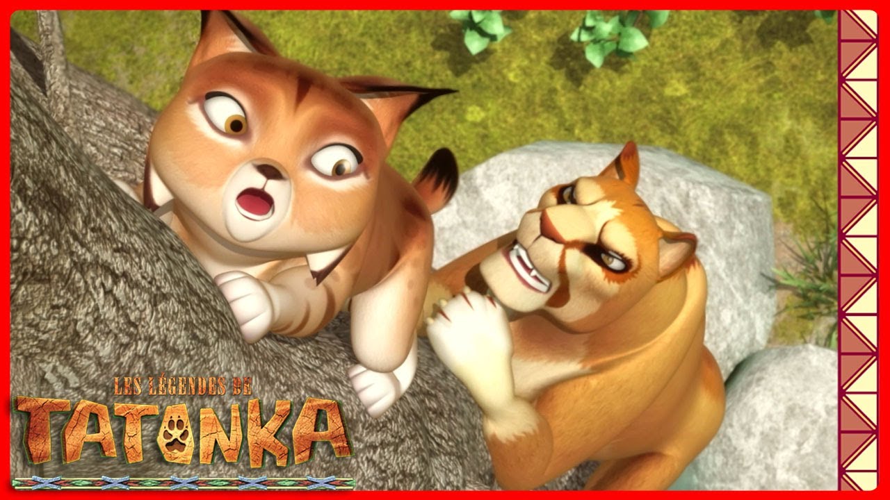 Poursuivis par Tork le puma | Tatonka | Dessins animés d'animaux
