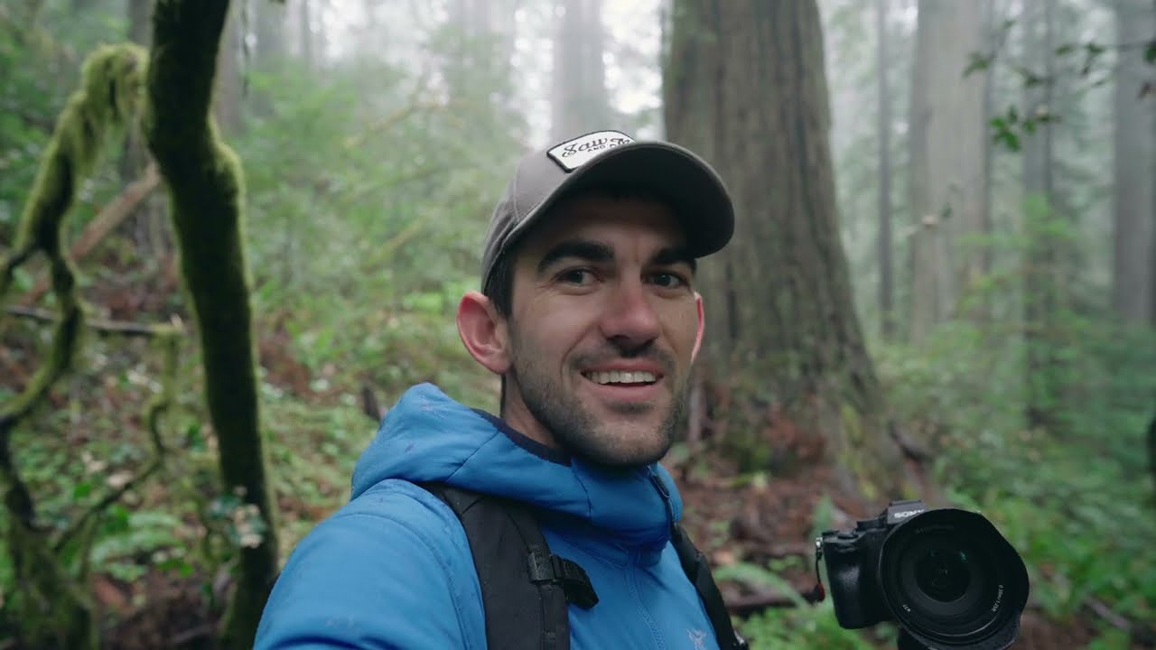 Photography in Redwoods National Park // Sony a7R IV