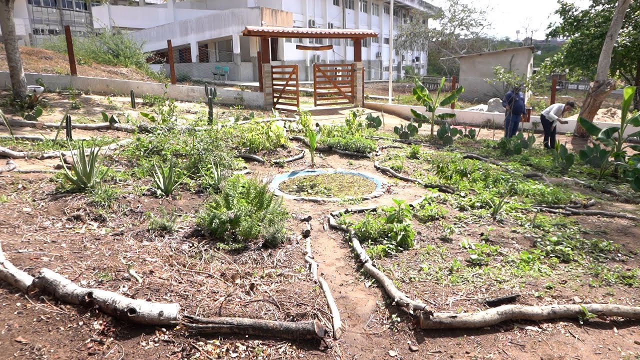 Projeto de extensão Quintal Produtivo cria espaço baseado em agroecologia e sustentabilidade