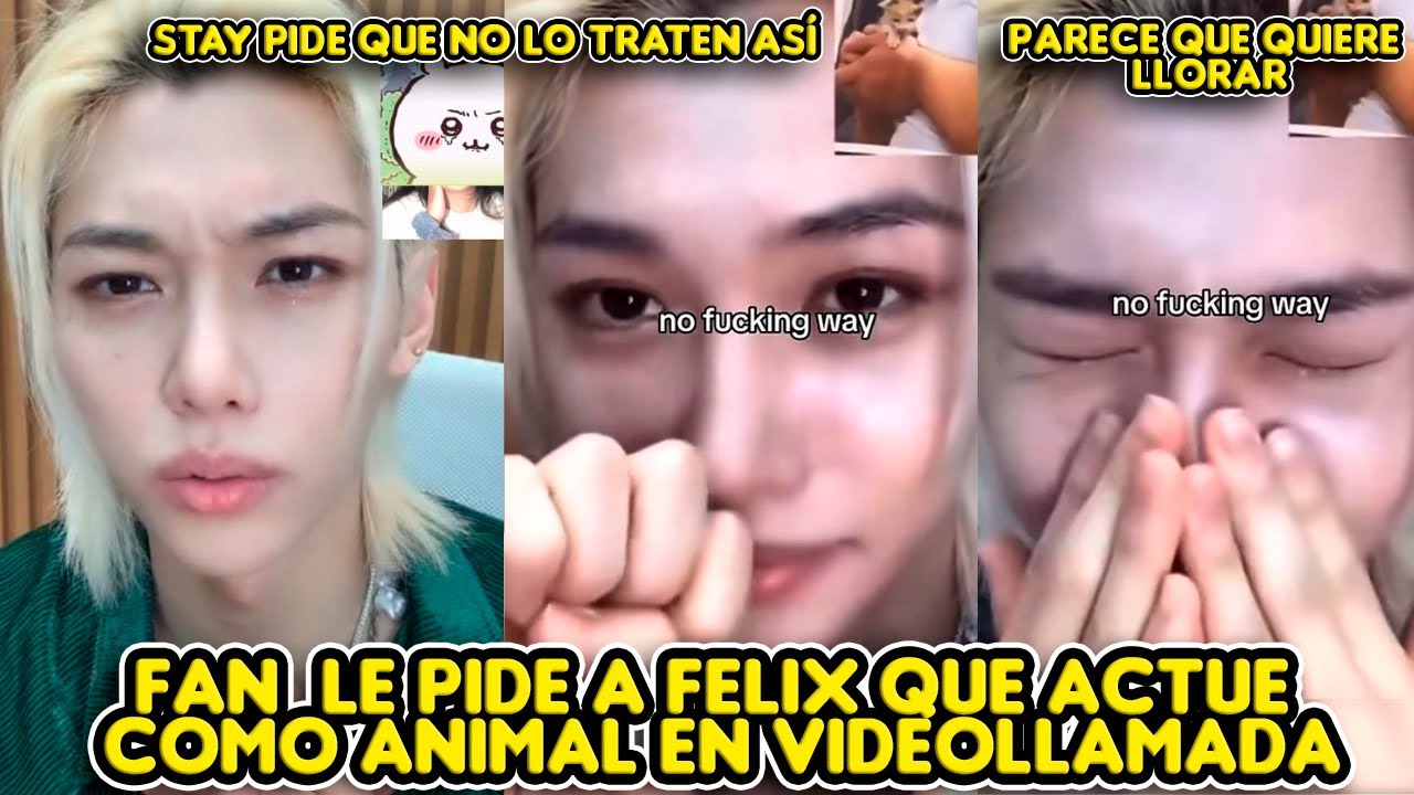 FAN LE PIDE A FELIX QUE ACTUE COMO ANIMAL +STAY PIDE QUE NO LO TRATEN ASÍ ¿PARECE QUE QUIERE LLORAR?