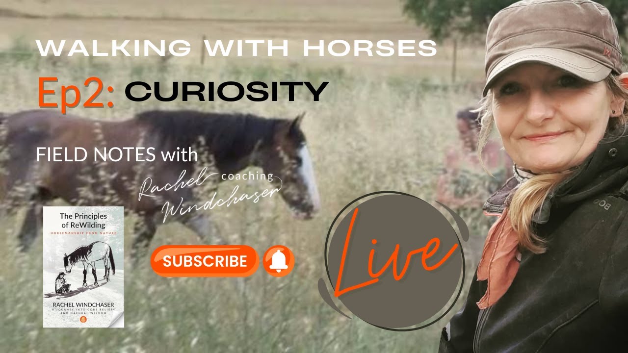 Ep#2: Walking With Horses - Why Curiosity Builds Confidence in Horses (and What Blocks It)