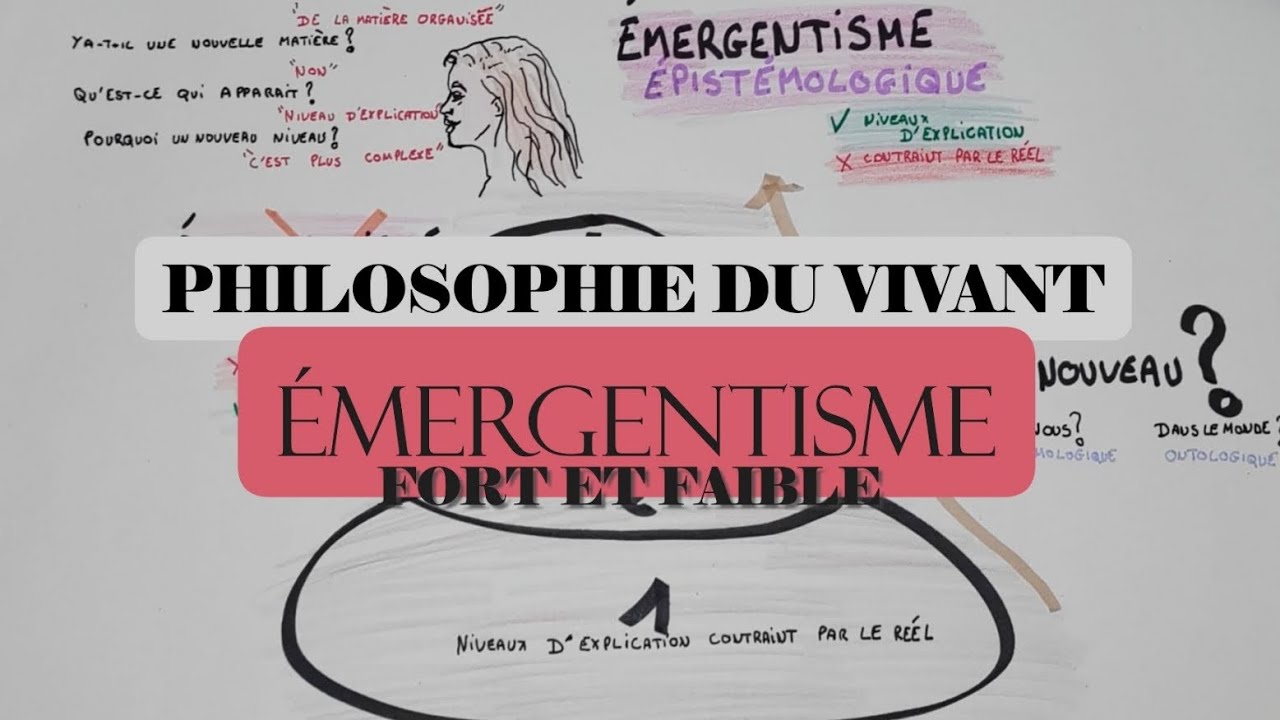 PHILOSOPHIE DU VIVANT, ÉMERGENTISME FORT ET FAIBLE.