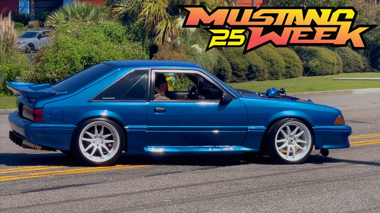 Mustang Week 2025 Day 3 Pony UP & Mustang BURNOUTS (Pulls, Sends, & Chases)