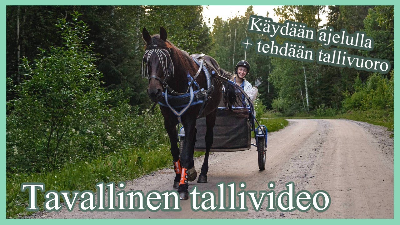Ruokitaan hevoset ja käydään kärryttelemässä | TALLIVIDEO