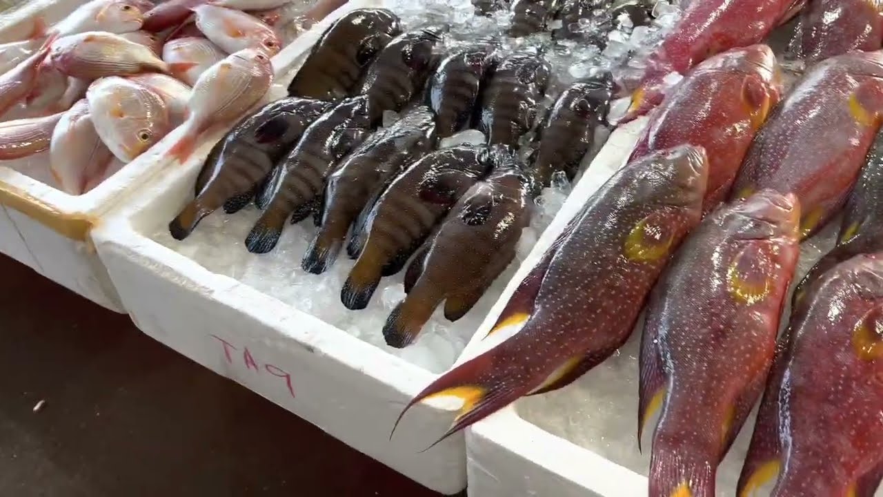 竹圍漁港- 傳統魚市，熟練的魚類加工者