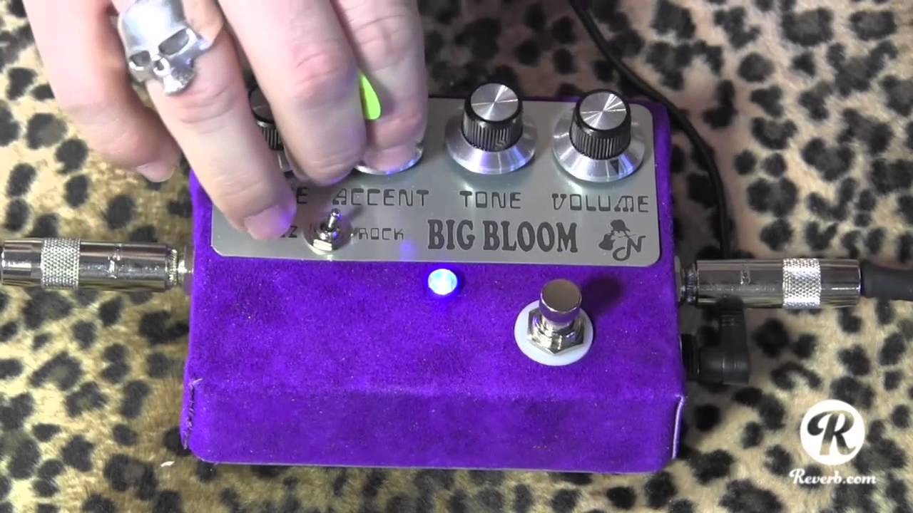 Amplified Nation BIG BLOOM overdrive pedal demo with Suhr Strat