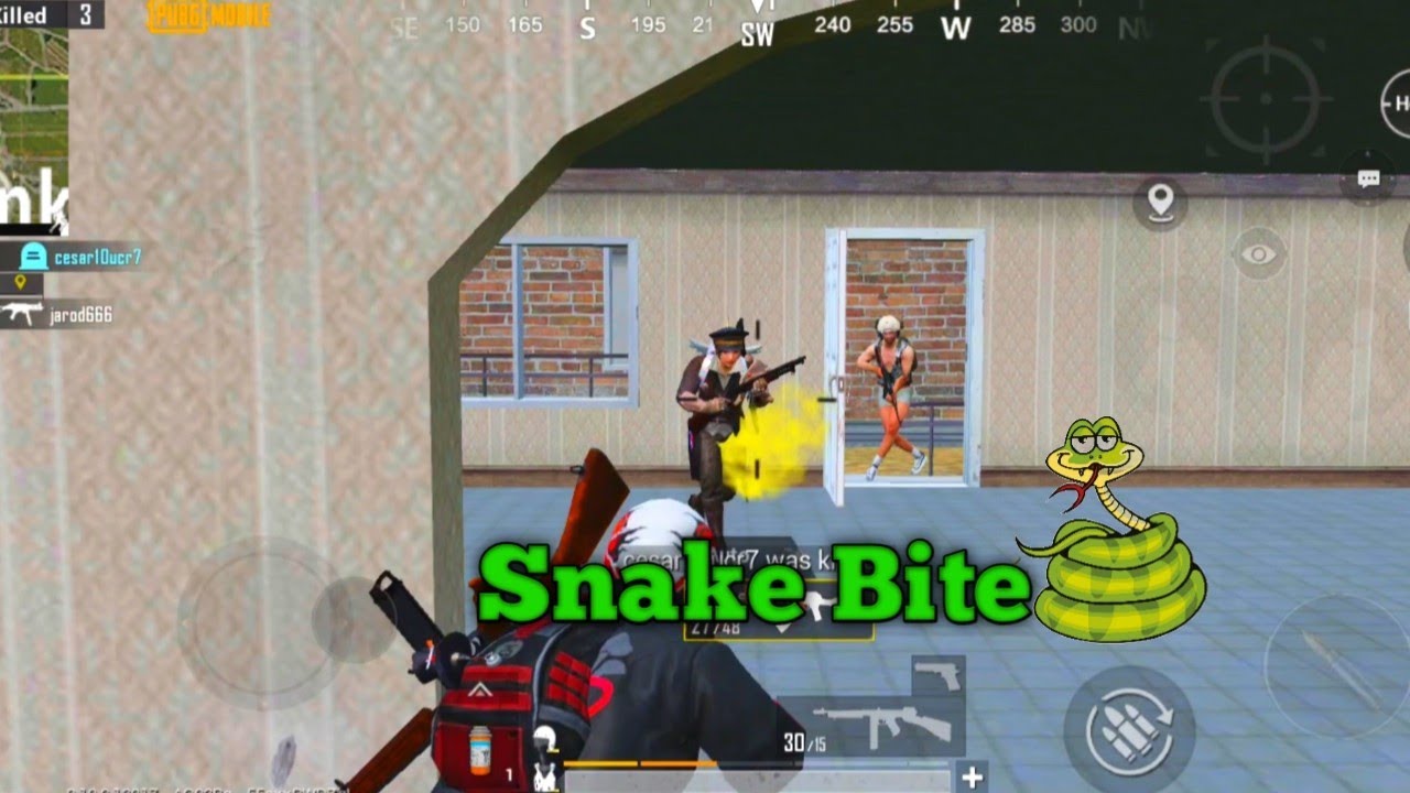 PARZIVAL GAMING // SOLO VS SQUAD GAMEPLAY ( SNAKE BITE 🐍)