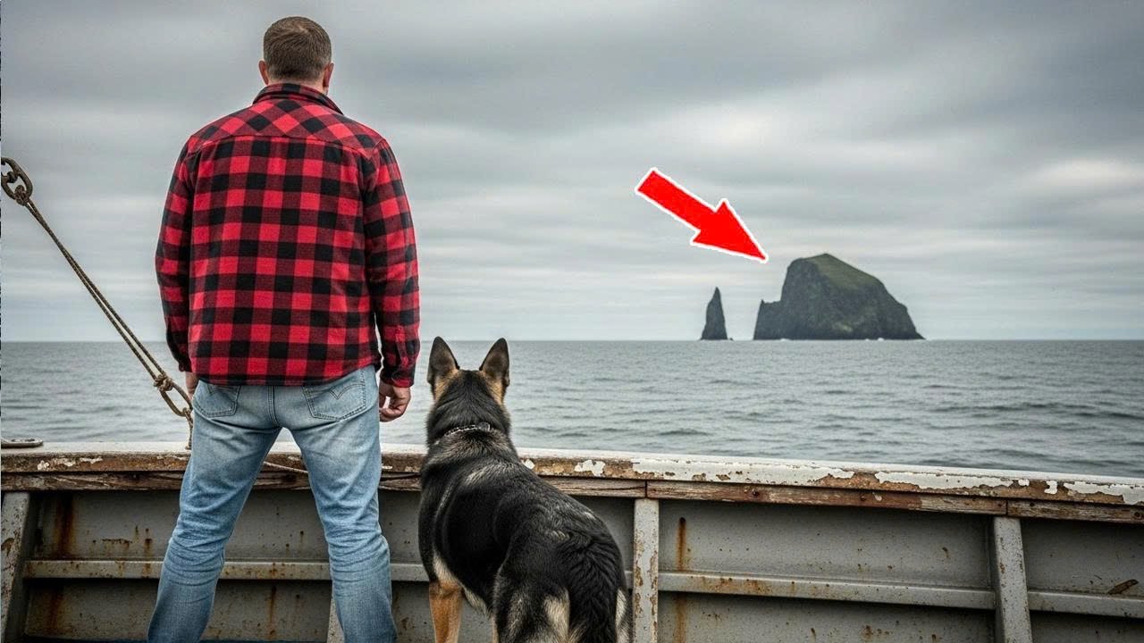 Veteran Inherits Crumbling Seaside Cliff — What He Finds Hidden There Shocks Everyone