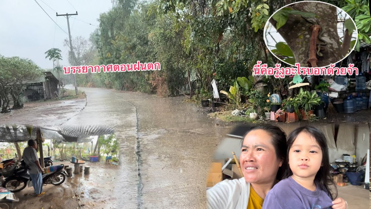 ฝนตกครั้งแรกของปีอยู่ที่บ้านโพธิ์ฝนตกแต่ทางไปนาก็สะดวกสบาย￼/ຝົນຕົກຄັ້ງແລກຂອງປີຢູ່ບ້ານໂພທາງໄປນາກະດີ