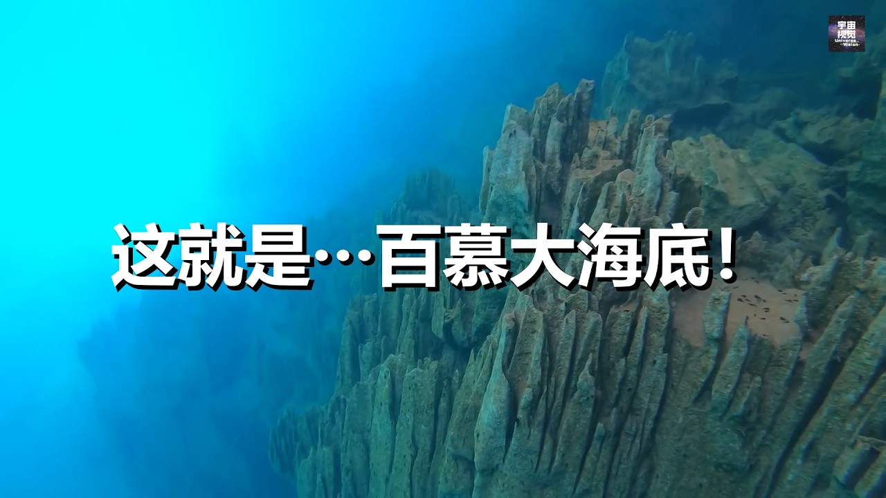 从海底开始：揭开百慕大三角的秘密！