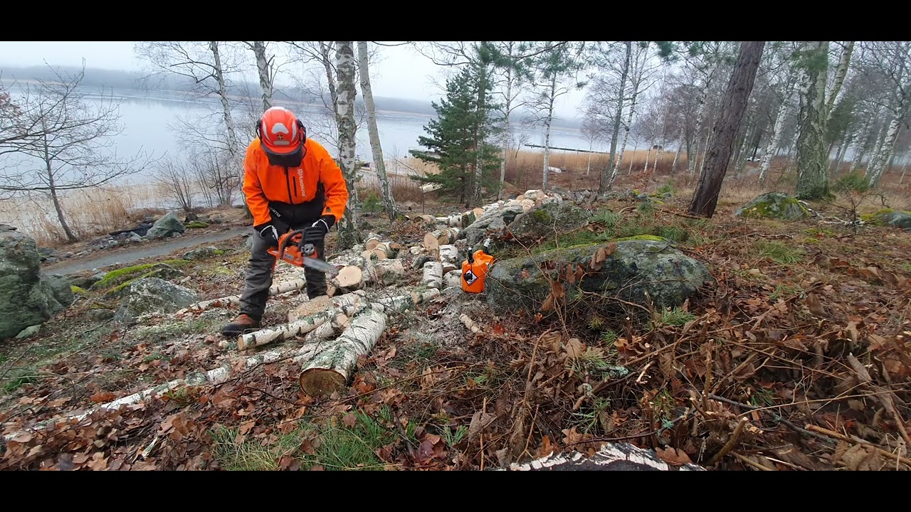 Husqvarna 435 X-torq works his way through       2 cubic meters of birch Part 2 🪓🌲🪵🔥🏡🇸🇪