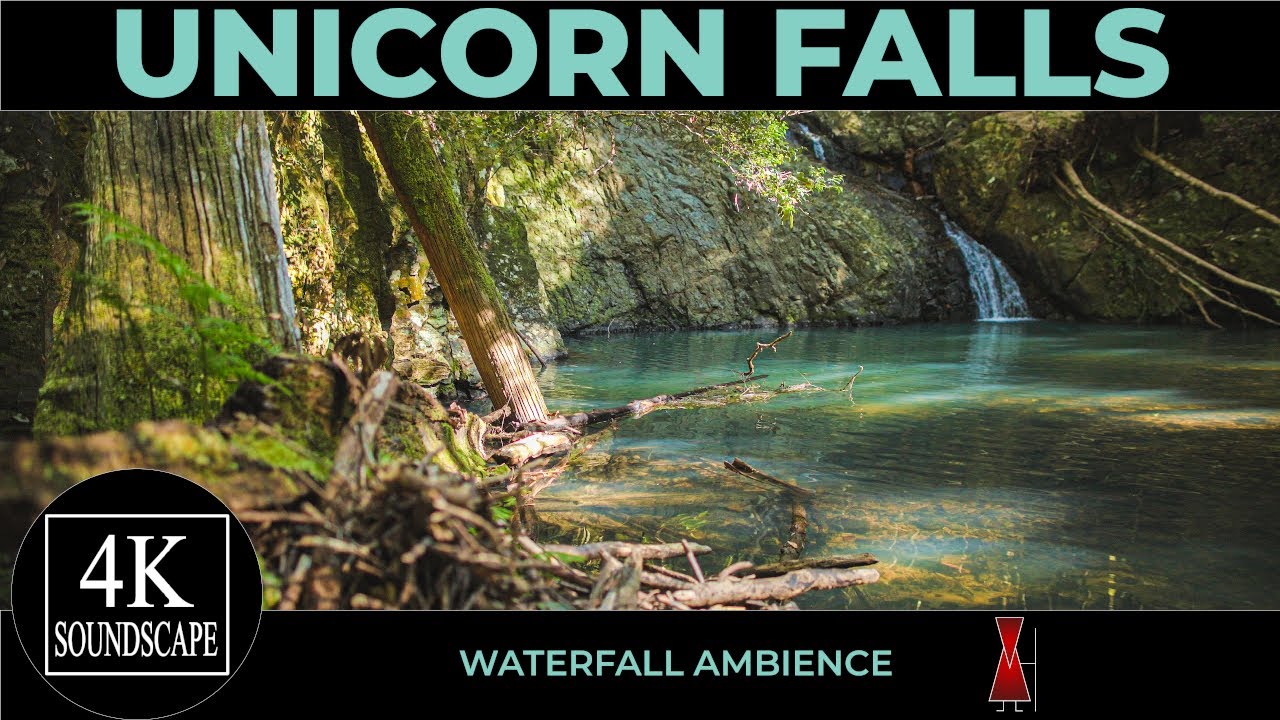 Rainforest Waterfall Ambience at Unicorn Falls | Australian Nature Sounds | 4K SOUNDSCAPE