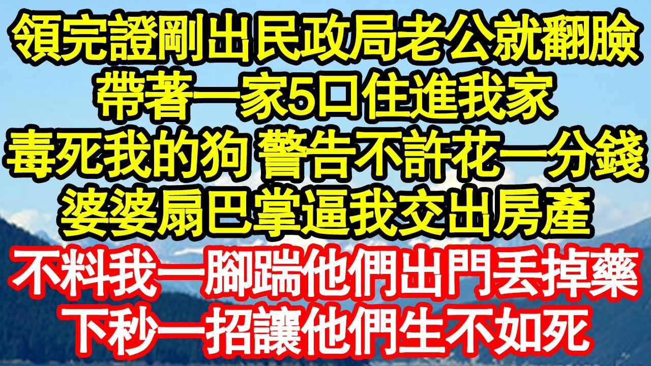 領完證剛出民政局老公就翻臉，帶著一家5口住進我家，毒死我的狗 警告我不許花一分錢，婆婆扇巴掌逼我交出房產，不料我一腳把他們踹出門丟掉藥，下秒一招讓他們生不如死真情故事會||老年故事||情感需求