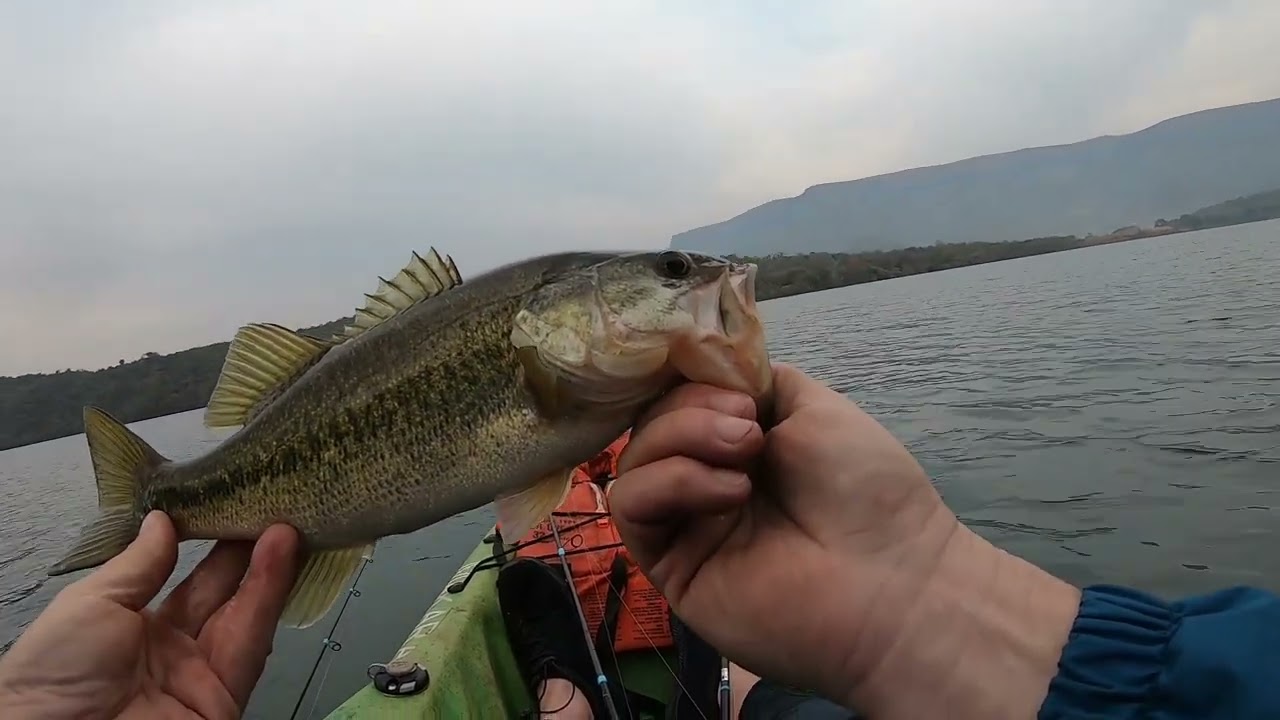 Kayak fishing at Nagle Dam- Finesse fishing