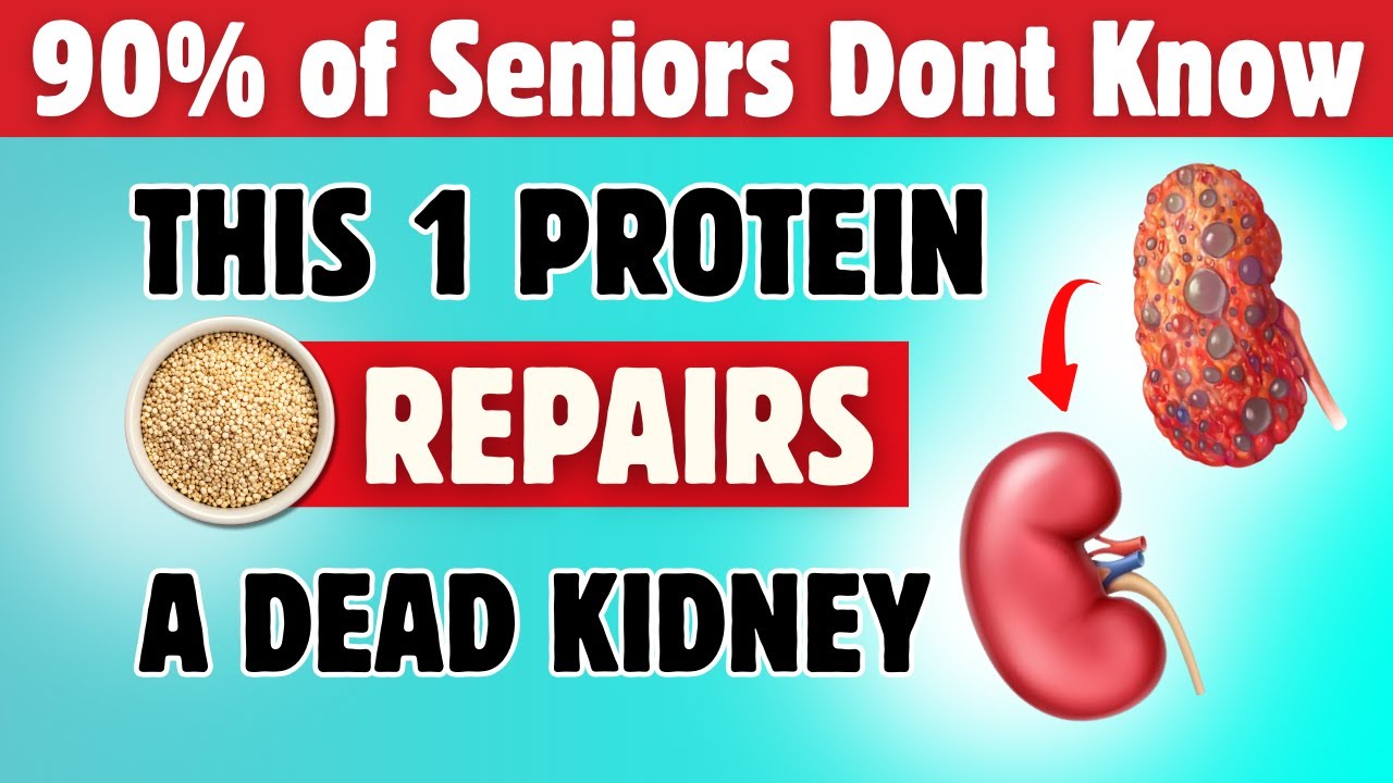 Top 10 Kidney-Safe Proteins That Lower Creatinine Naturally FAST!