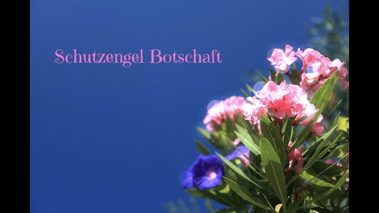 Schutzengel Botschaft f&uuml;r dich ❤️