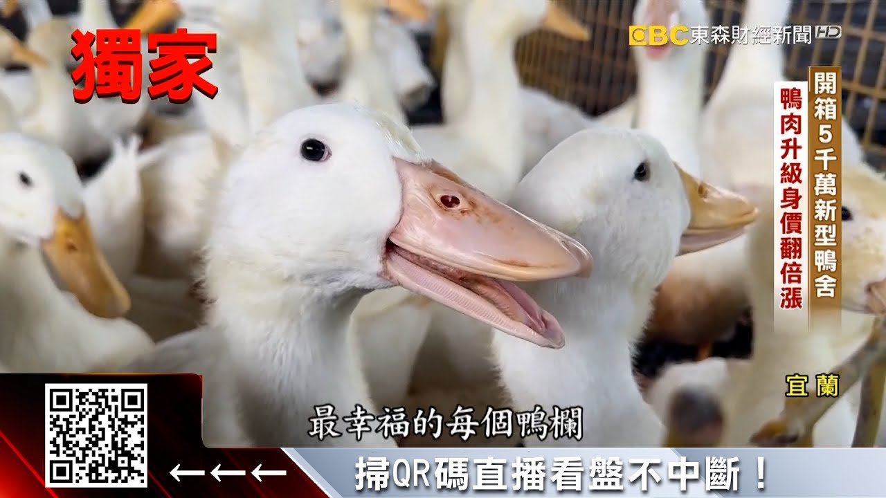 獨家》金鴨奇蹟！5000萬新型鴨舍 鴨肉升級翻8倍價 @57ETFN