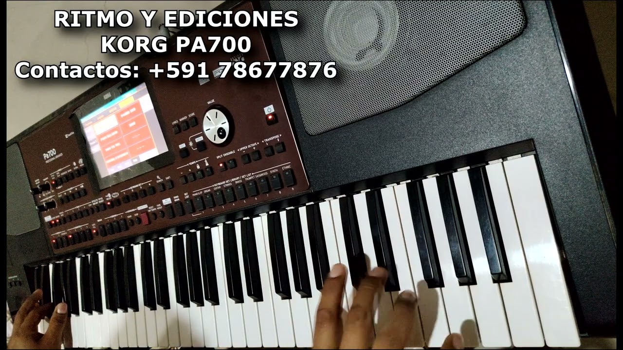 KORG PA 700 ESPUMITA DE CERVEZA DELIRIOS