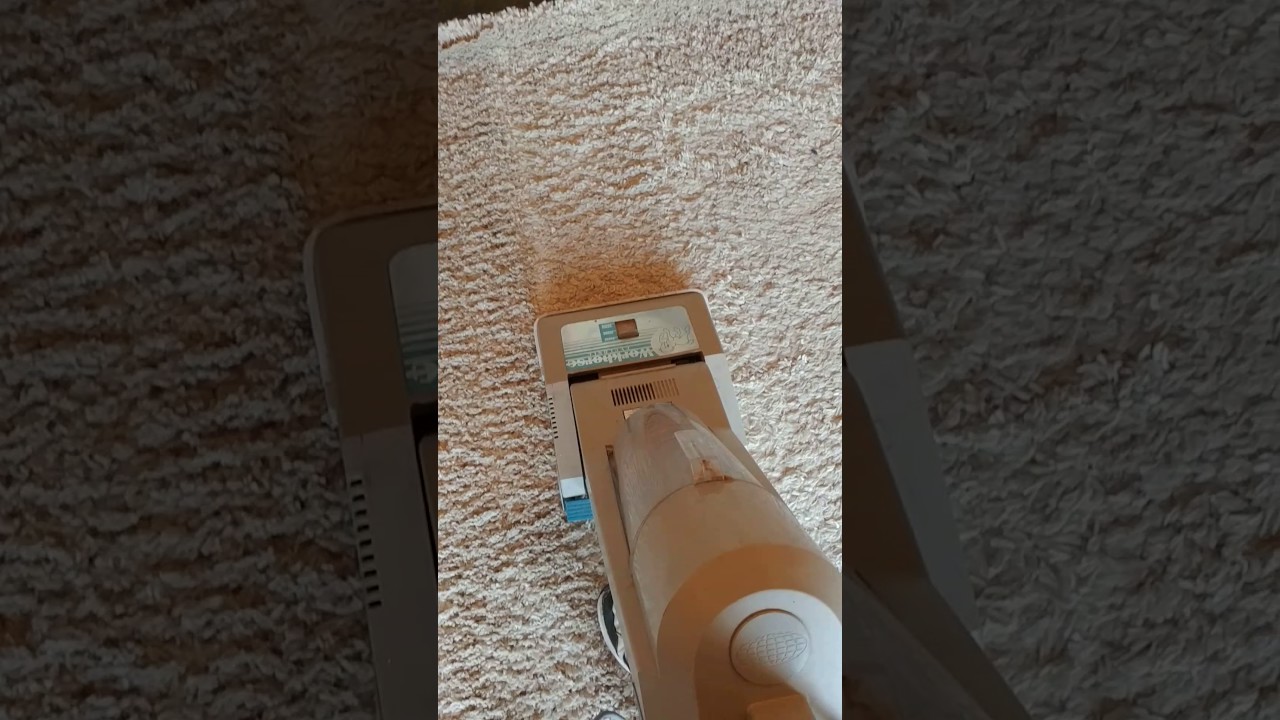 Vacuuming a Costco Shag Carpet without killing yourself