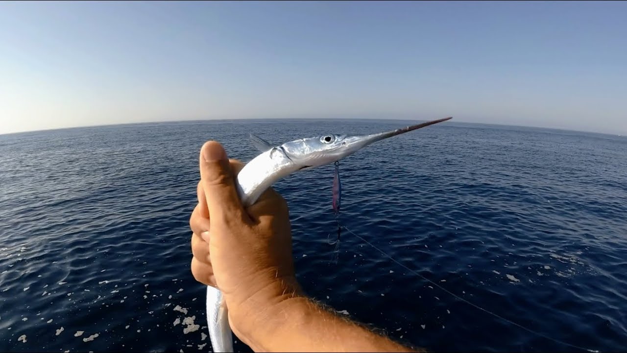 Micro jigging. Garfish. 14.07.2018.
