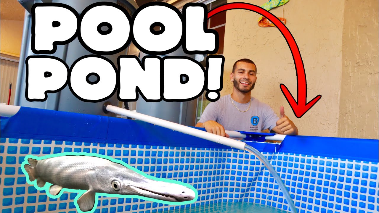 ANOTHER POOL POND!! FOR what MONSTER FISH?!