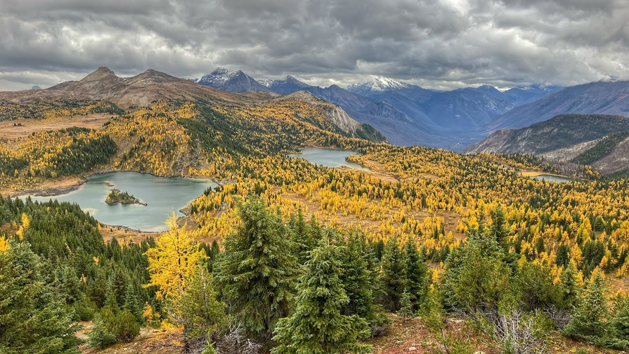 Two Minute Hike | Sunshine Meadows