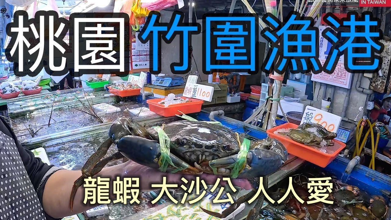 想不到墨西哥龍蝦猛成這樣 連賣海鮮的老闆也無法倖免 慘遭毒手受傷【跟著藝術家來放風】162 中文字幕 #漁港 #龍蝦 #紅蟳 #泰國蝦 #花蟹