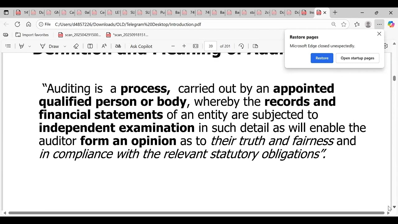 AUDITING & IN. REV SUPPL.-OBJECTIVE & GENERAL PRINCIPLES GOVERNING AN AUDIT OF FINANCIAL STATEMENTS 