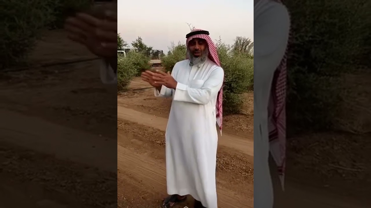 عسل شفلح وسدر مزرعة عميد النحالين جزء ٢