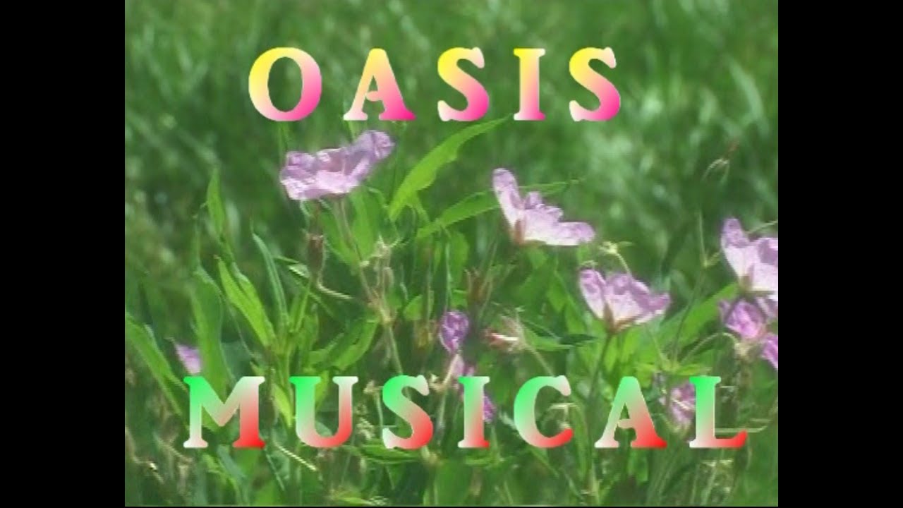 RADIO JUVENTUD... UN OASIS MUSICAL 2