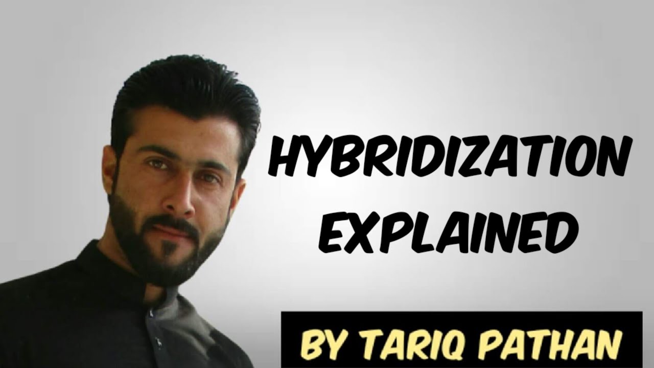 Class 11 Chapter 3 - Hybridization explained by Tariq Pathan