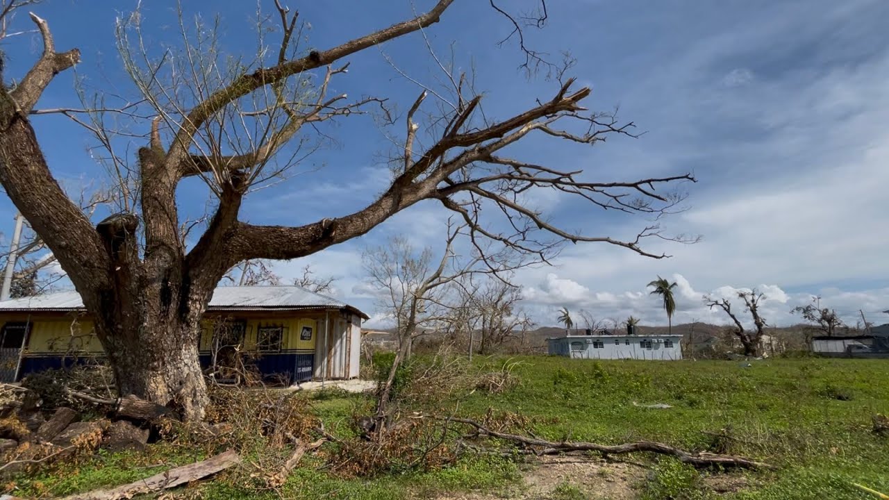 LACOVIA ST.ELIZABETH JAMAICA 🇯🇲 HURRICANE MELISSA AFTERMATH MUST WATCH . 2025