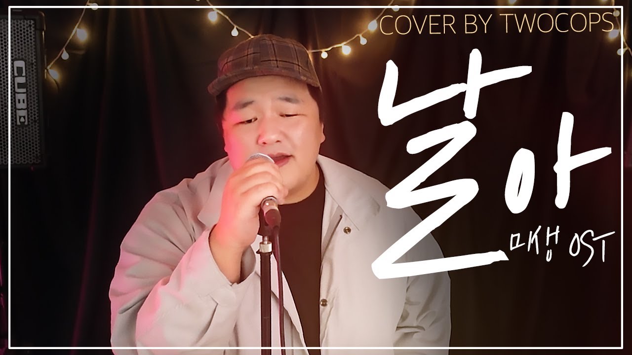 [투깝스] 이승열 - 날아 Cover | 드라마 '미생' OST | Lee Sung Yeol - Fly Misaeng | (lyrics/KOREAN)
