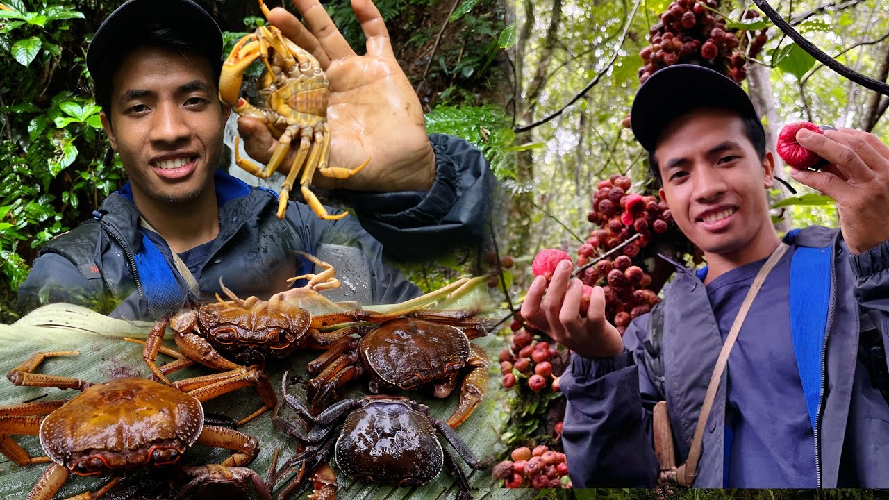 Exploring Village Mountain Crabs || Eating Sweet Wild Fig Fruits 😋.