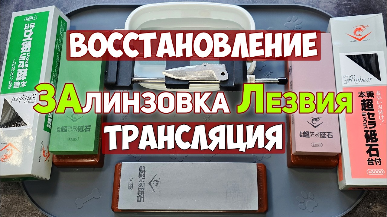 Восстановление лезвия EDC ножа MAGNUM by BOKER💯Прямой Эфир✅ #edc #440 #заточка #острыеножи