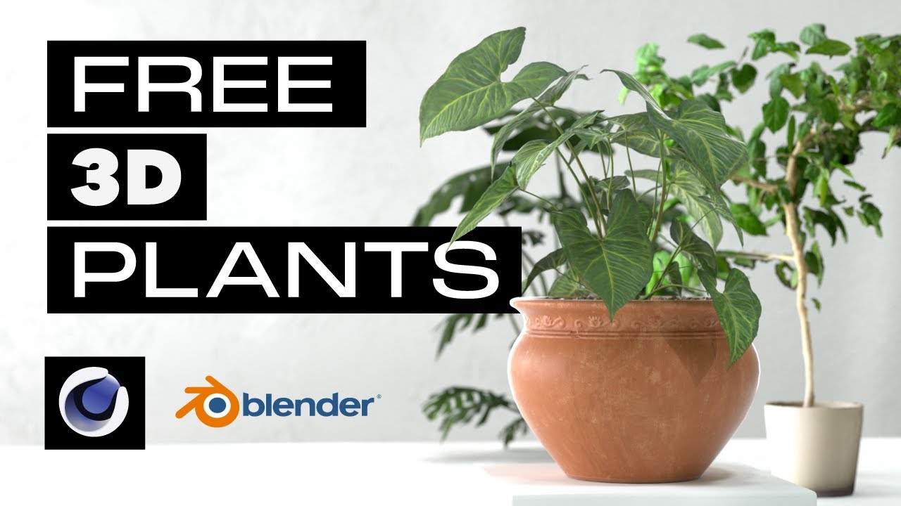 Free 3D Plants and Nature Models for Cinema4D and Blender