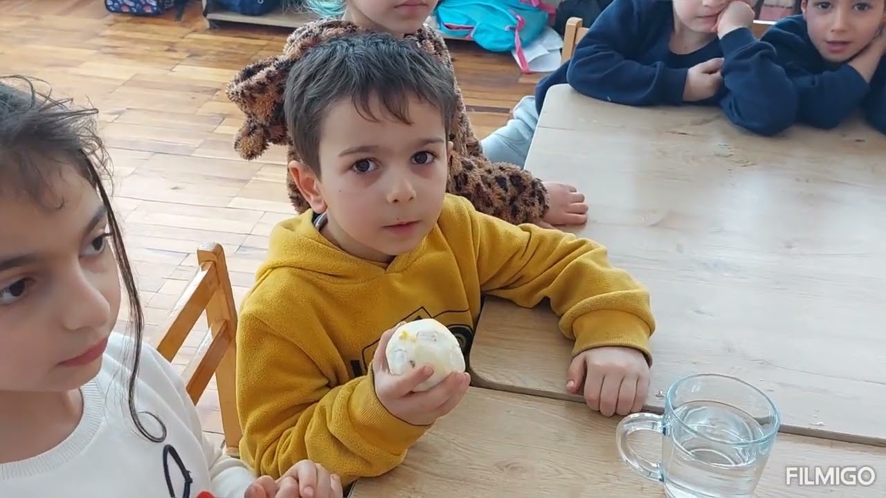 բնագիտական փորձ կիտրոնով