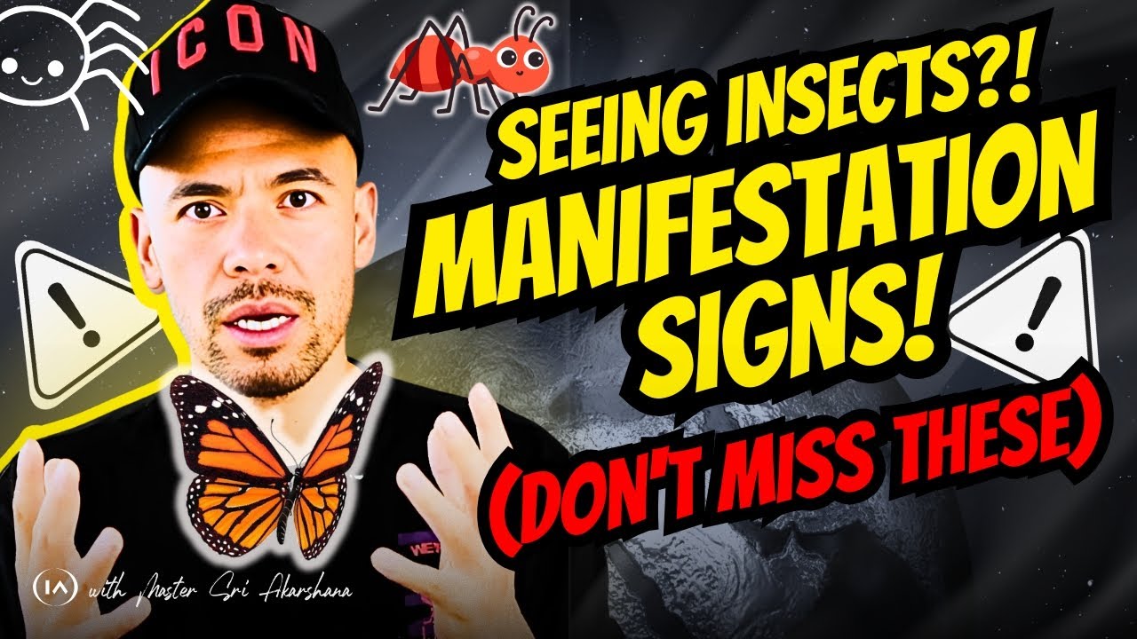 What Your Insect Encounters Reveal About You?!