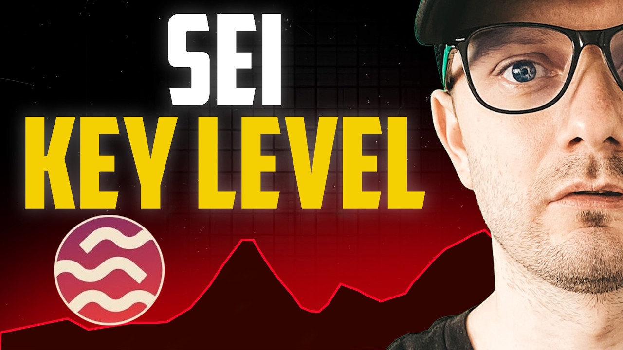 SEI Coin Analysis: This Level Will Decide Everything
