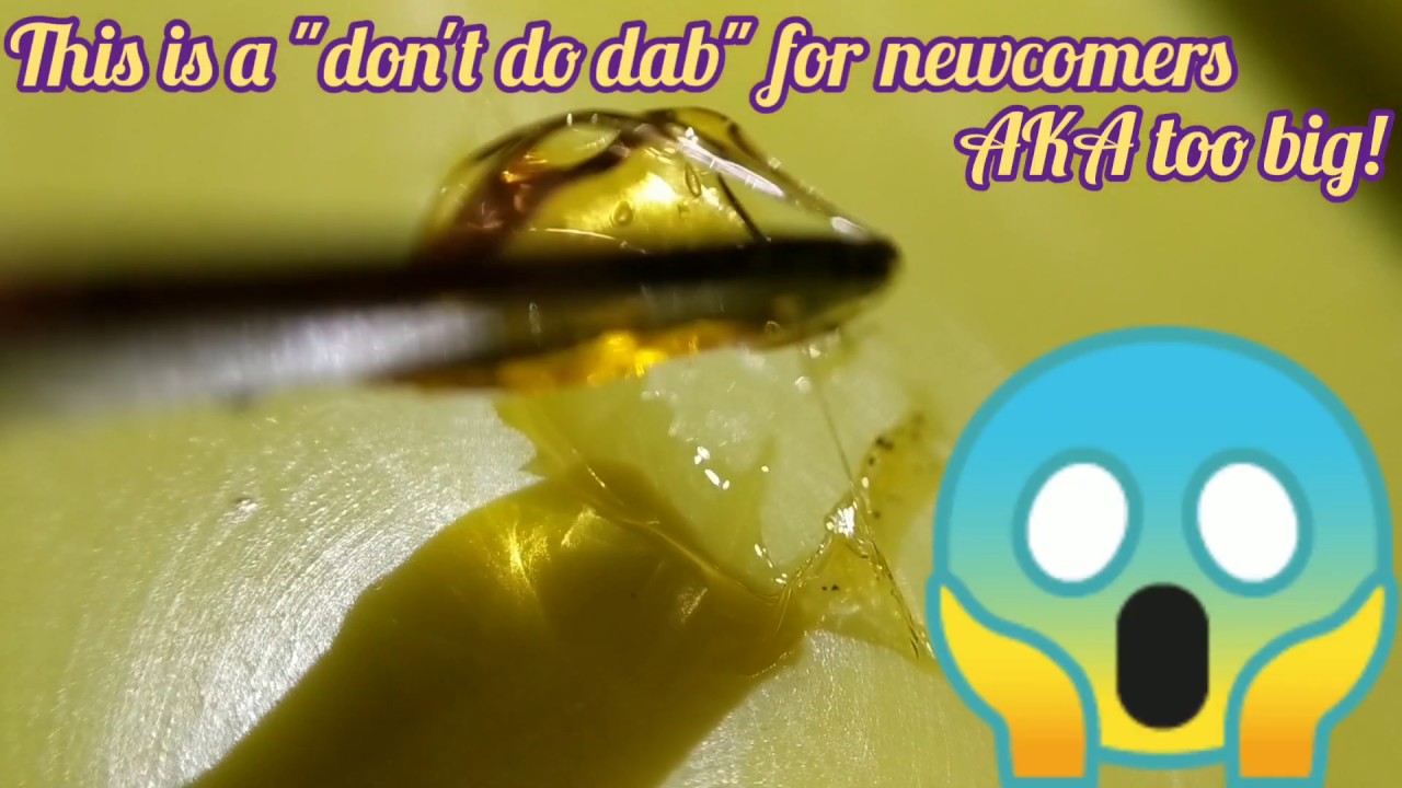 First 48 🕵🏻&zwj;♀️ Curaleaf ⚕️ Florida Medical Marijuana Reviews First 48 Hybrid strain!!