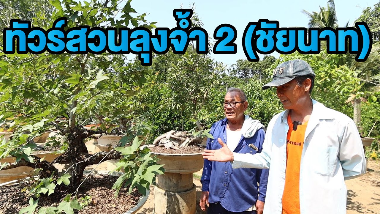 Bonsai Station [Tour Station] EP.18 ทัวร์สวน ลุงจั้ม(ชัยนาท) 2