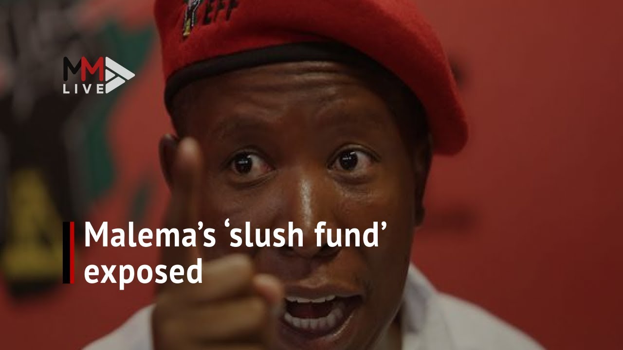 Explainer: Julius Malema's links to VBS 'slush fund'
